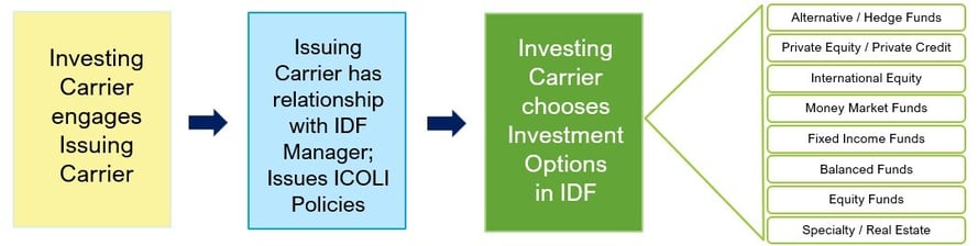 ICOLI Engagement Timeline