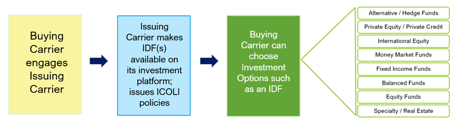 ICOLI Flowchart 020226